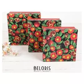 Набор коробок 3 в 1 "Гранат", 24 х 24 х 11 - 20 х 20 х 9 см