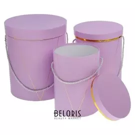 Набор коробок 3 в 1 «Ирис», сиреневый, 23 х 23 х 27 - 15 х 15 х 15 см