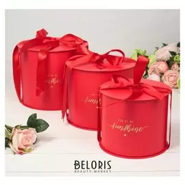 Набор коробок 3 в 1, красный, 22,5 х 22,5 х 18,5 - 17,5 х 17,5 х 14,5 см