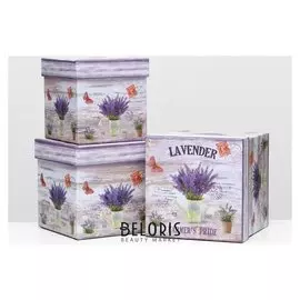 Набор коробок 3 в 1 "Лаванда", 16 х 16 х 16 - 13 х 13 х 13 см