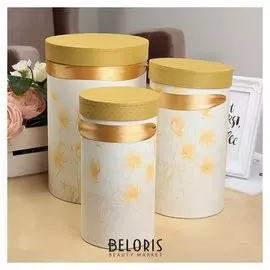 Набор коробок 3 в 1 "Лёгкость", жёлтый, 18 х 18 х 27 - 12 х 12 х 22 см