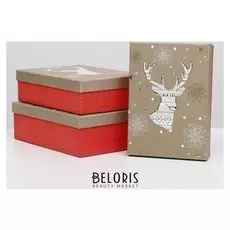 Набор коробок 3 в 1 "Новогодний орнамент", 21 х 29 х 9 - 18 х 26 х 6 см