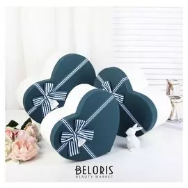 Набор коробок 3 в 1, синий, 33,5 х 27 х 16 - 26,5 х 21,5 х 13 см