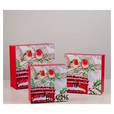 Набор коробок 3 в 1 «Снегири», 28 х 28 х 11 - 21 х 21 х 9 см