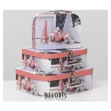 Набор коробок 3 в 1 сундук, 30 х 21 х 9,5 - 20 х 15 х 8,5 см