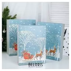 Набор коробок 3 в 1 «Ворох подарков», 39 х 30 х 11 - 35 х 26 х 7 см