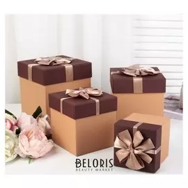 Набор коробок 4 в 1, 17 х 17 х 17,5 - 10,5 х 10,5 х 11,5 см