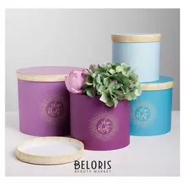 Набор коробок 4 в 1 Shine Bright, 14 х 14 х 13 - 20 х 20 х 17,5 см