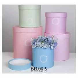 Набор коробок 5в1, « 17», 23 х 23 х 25 - 15 х 15 х 15 см