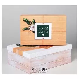 Набор коробок прямоугольных 2 в 1 «Повод для радости», 27 × 17.5 × 9 - 32 × 24 × 11 см