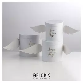 Набор коробок "С крыльями", белый, 3 в 1, 21,5 х 21,5 х 21,5 - 17 х 17 х 16,5 см