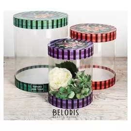 Набор коробок с PVC 3 в 1 «Шотландская полоска», 17 × 20, 20 × 24, 23 × 30 см