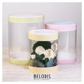 Набор коробок с Pvc, 3 в 1 «Красота», 17 × 20, 20 × 24, 23 × 30