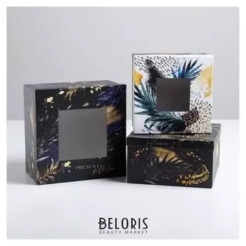 Набор коробок с PVC окном 3 в 1 Present, 18 × 18 × 10‒22 × 22 × 12 см