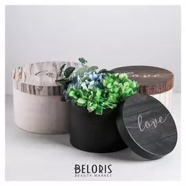 Набор круглых коробок 3 в 1 «Дерево», 18 × 18 × 13 см, 20 × 20 × 14.5 см, 25 × 25 ×15 см