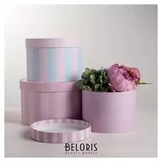 Набор круглых коробок 3 в 1 «Полоски», 18 × 18 × 13 см, 20 × 20 × 14.5 см, 25 × 25 ×15 см