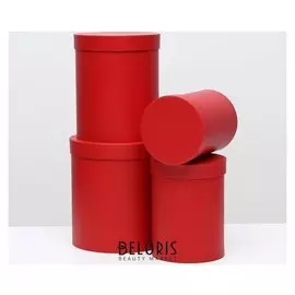 Набор круглых коробок 4 в 1 23 х 23 х 25 - 15 х 15 х 20 см красный