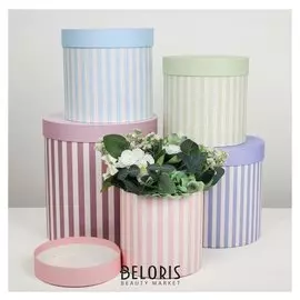 Набор круглых подарочных коробок 5 в 1 « 19», 23 × 23 × 25‒15 × 15 × 15 см