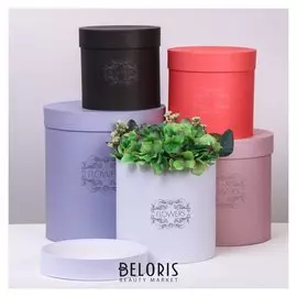 Набор круглых подарочных коробок 5 в 1 «Пантон 05», 23 × 23 × 25‒15 × 15 × 15 см