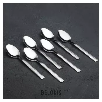 Набор ложек чайных «Нуа», H=15 см, 6 шт