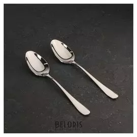 Набор ложек столовых 2 шт, 21 см