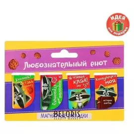 Набор магнитных закладок "Любознательный енот", 4 шт.
