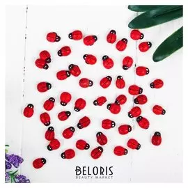 Набор магнитов «Божья коровка», 50 шт., красный