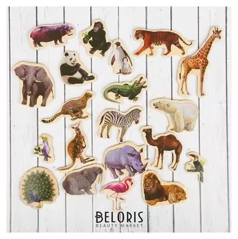 Набор магнитов «Дикие животные» 20 шт.