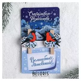 Набор магнитов-прищепок «Волшебных мгновений», 2 шт