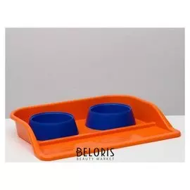 Набор: миски+ лоток "Феликс", 0,3 л 41 X 30 X 6 см,оранжвый лоток - синие миски