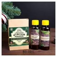 Набор "Мужской подарок": 2 ароматизатора, 100 мл