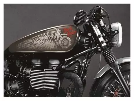 Набор наклеек на мотоцикл Dark Rider, 2 шт