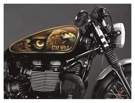 Набор наклеек на мотоцикл «Орёл», 2 шт