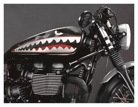 Набор наклеек на мотоцикл Shark, 2 шт