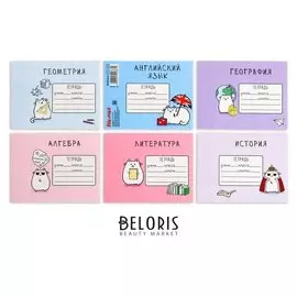 Набор наклеек на тетрадь «Котик», 8 × 11 см