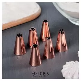 Набор насадок кондитерских D=1,7 см, 6 шт