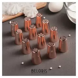 Набор насадок кондитерских, D=2,7 см, 12 шт