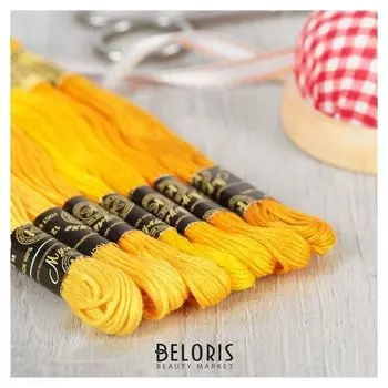 Набор ниток мулине «Цветик-семицветик», 10 ± 1 м, 7 шт, цвет жёлтый спектр