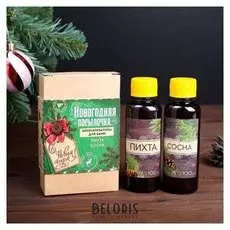 Набор "Новогодняя посылочка": 2 ароматизатора, 100 мл