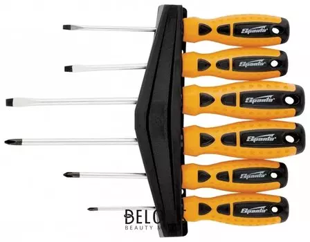 Набор отверток двухкомпонентные рукояти, пластиковый футляр SL/Ph, 6 шт., Point, CrV