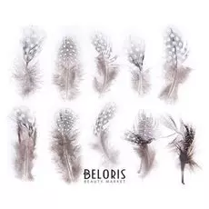 Набор перьев для декора 10 шт., размер 1 шт: 5 × 2 см, цвет коричневый с белым