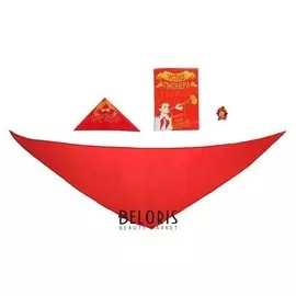 Набор пионера «Пионер-party», 4 предмета: галстук, пилотка, значок, устав