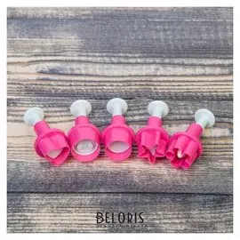 Набор плунжеров кондитерских доляна «Праздник», 5 шт