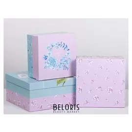 Набор подарочных коробок 3 в 1 «Нежность», 18 × 18 × 10‒22 × 22 × 12 см