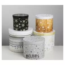 Набор подарочных коробок 5 в 1 «Изморозь», 13 × 14‒19.5 × 20 см 3580137