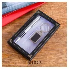 Набор подарочный 2в1 (Ручка, брелок)