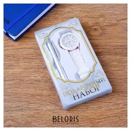 Набор подарочный 2в1 (Ручка, часы)