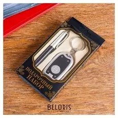 Набор подарочный 2в1 (Ручка, фонарик черный)