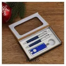 Набор подарочный 3в1 (2 ручки, фонарик синий)