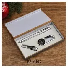 Набор подарочный 3в1 (Ручка, кусачки, карабин-компас)